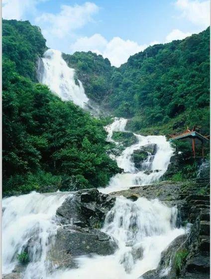 奥莉的夏威夷之旅